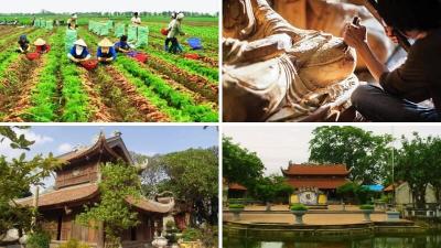 Đơn Vị Cung Cấp Thịt Trâu Đông Lạnh Nhập Khẩu Tại Huyện Cẩm Giang, Hải Dương